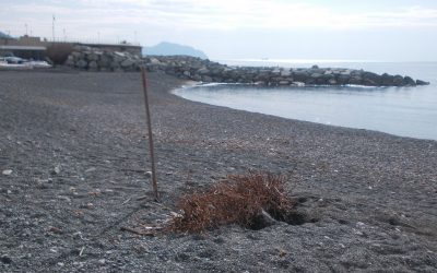 Progetto Vernazzola 2016: la prima uscita