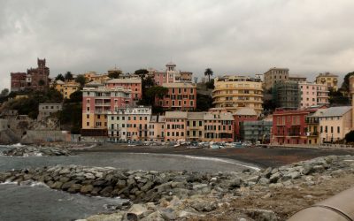 Progetto Vernazzola 2016